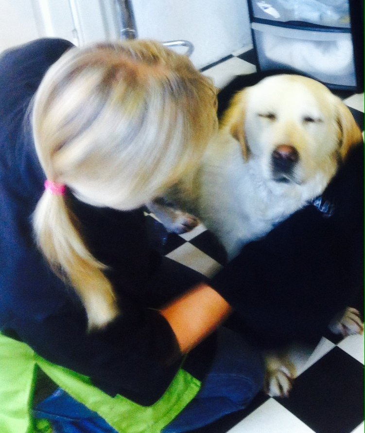 dog grooming dunblane