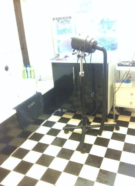 dog grooming dunblane